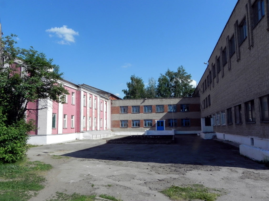 В городе Михайлов Рязанской области есть замечательная школа № 2.